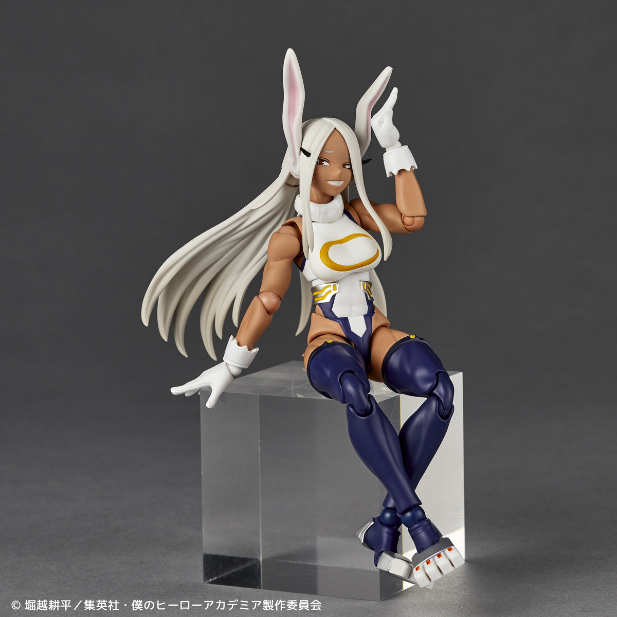 Kaiyodo Revoltech Mirko Action Figure from My Hero Academia