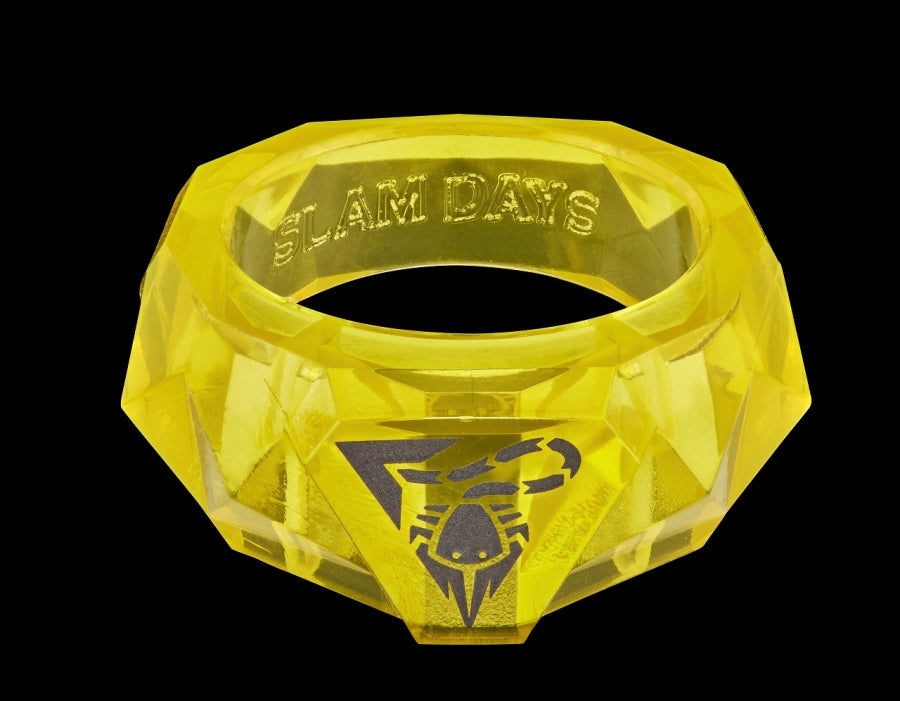 Kamen Rider Transformation Chaos Ring for RUI with Chaos Driver Compatibility