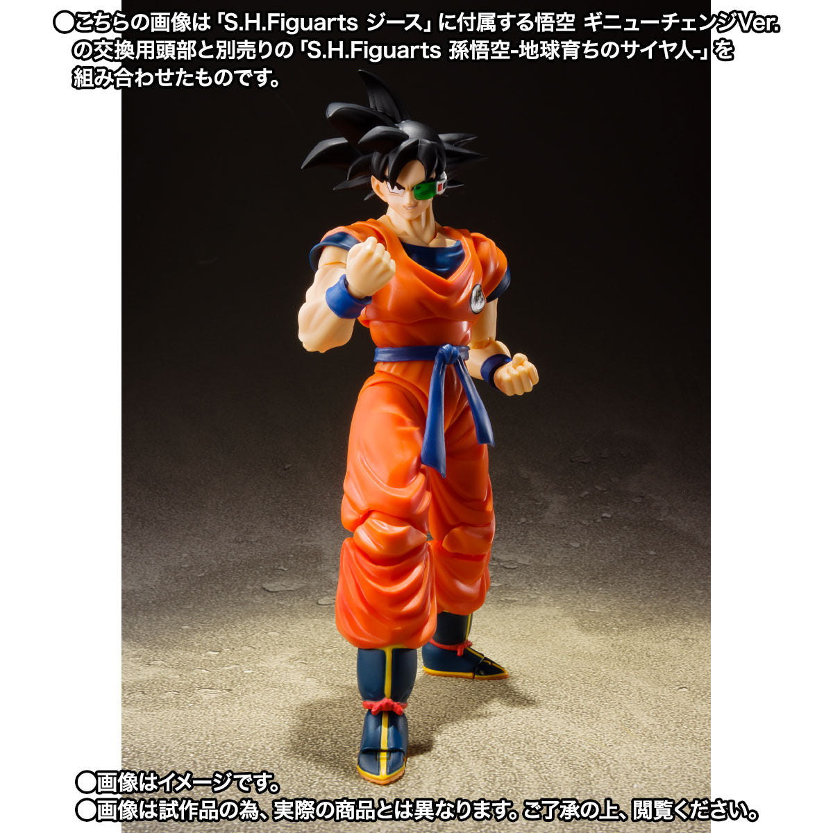 SH Figuarts High - Quality Jiece Figure with Accessories