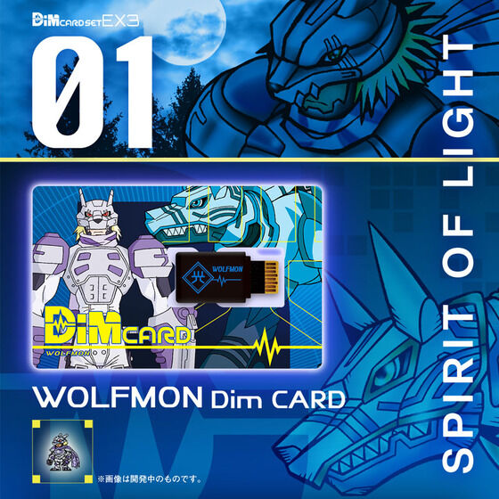 Exclusive EX3 Digimon Frontier Dim Card Set - Spirit of Light