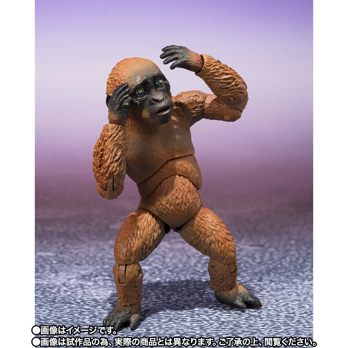 2024 SH MonsterArts Collection: Suko & Mothra from Godzilla x Kong