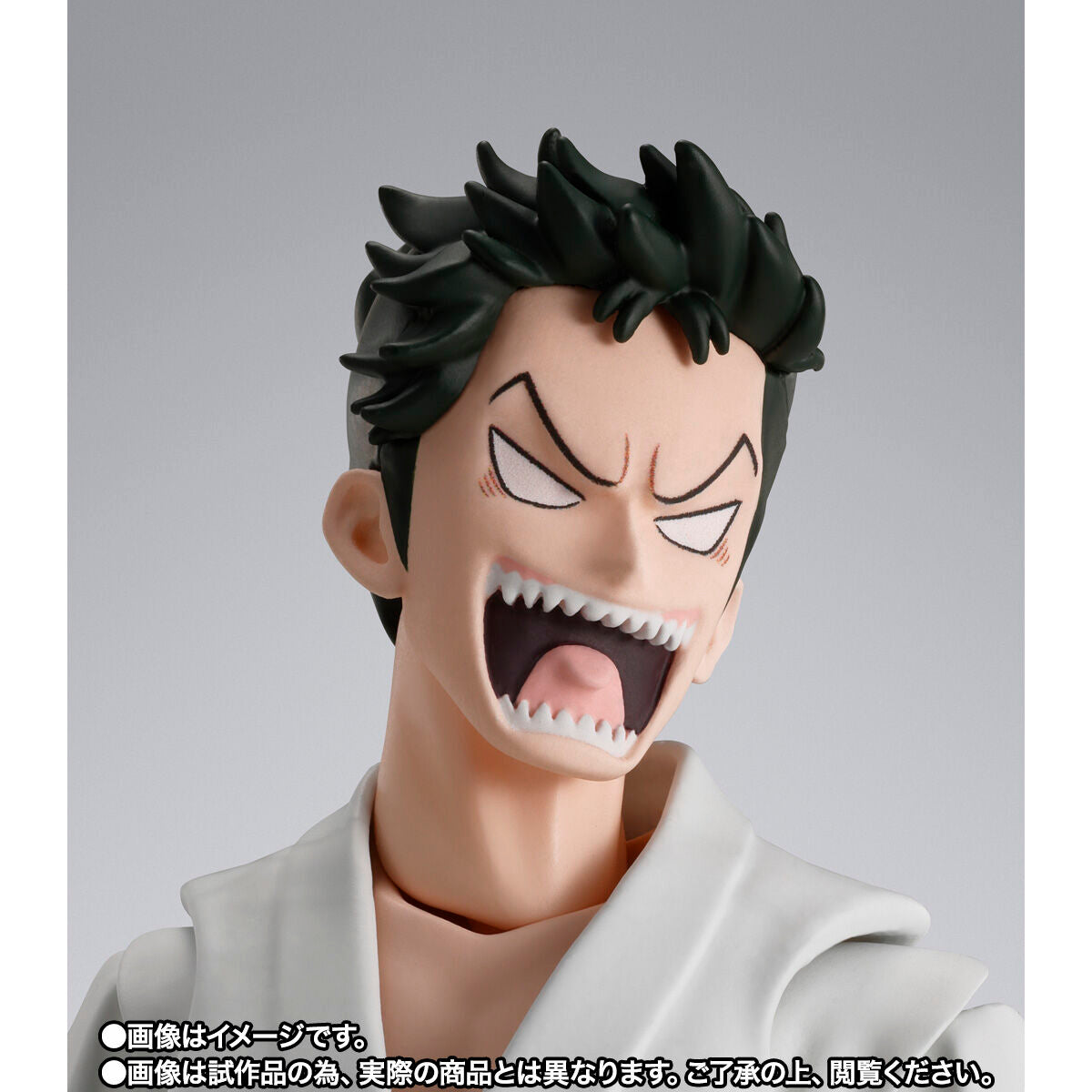 PRE - ORDER: SH Figuarts Dynamic Action Figure of Ryuma
