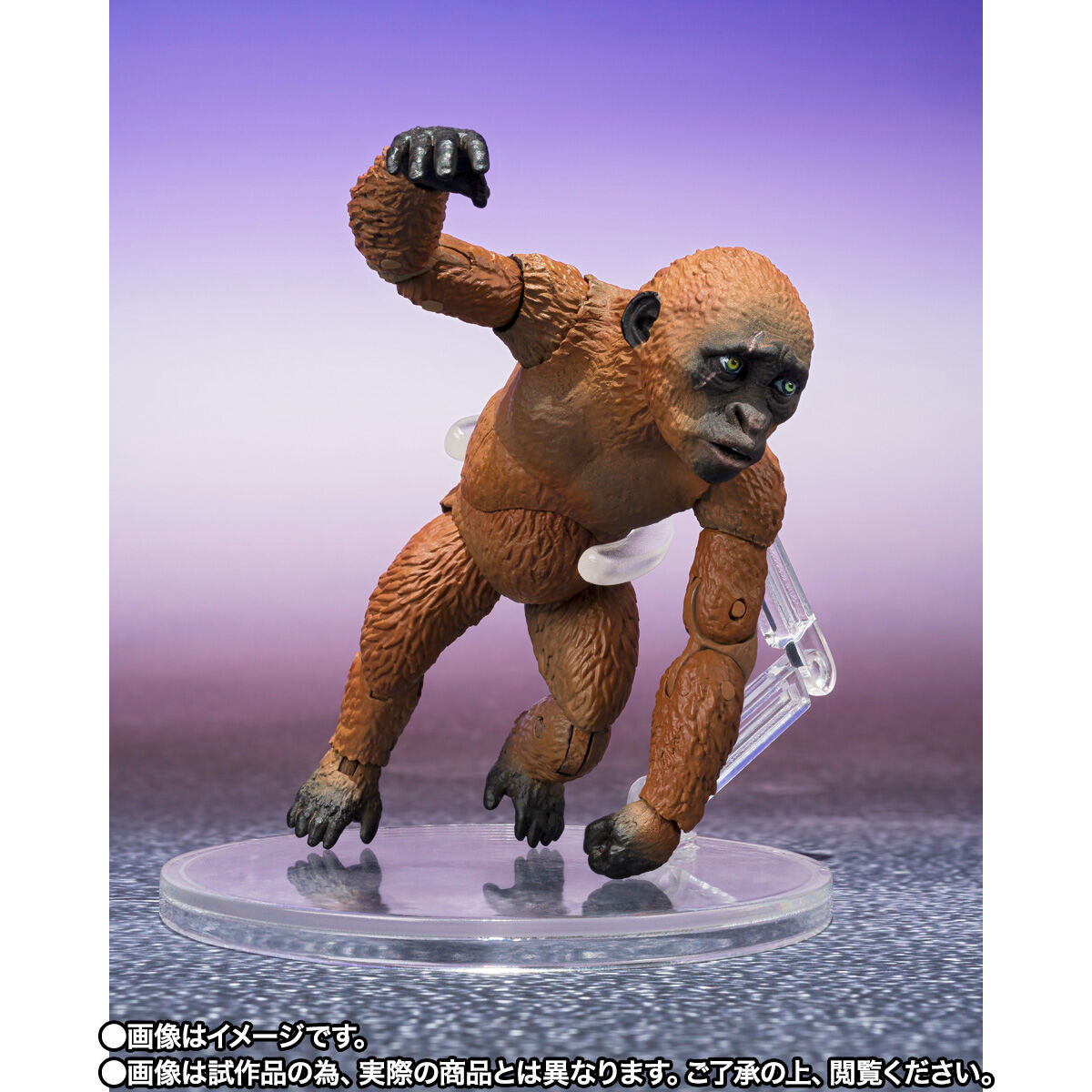 2024 SH MonsterArts Collection: Suko & Mothra from Godzilla x Kong