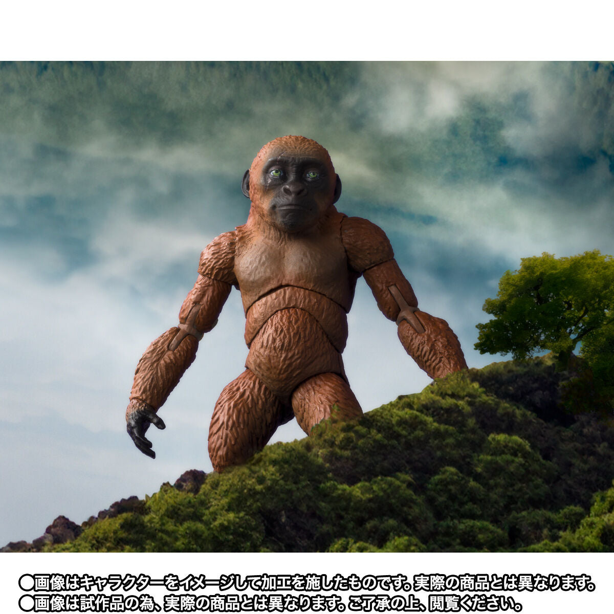 2024 SH MonsterArts Collection: Suko & Mothra from Godzilla x Kong